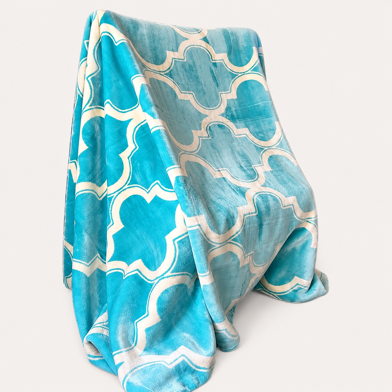 Cozy Cozy Embossed 2Ply Mink Queen Blanket