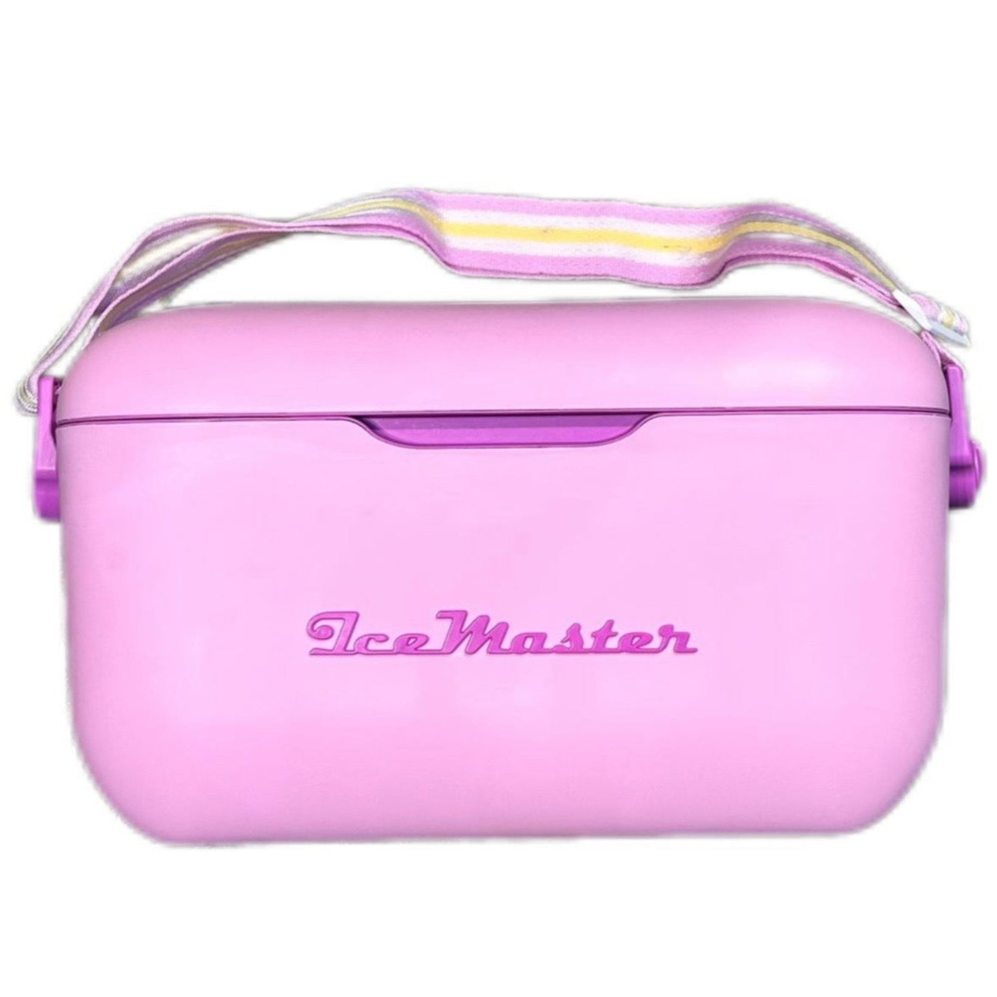 IceMaster Cooler Box 20 Litre - Purple