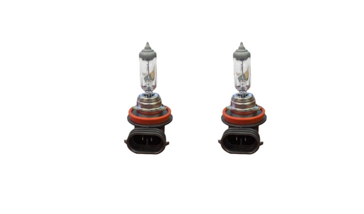 Lucas H16 12V 19W Fog Light Globe for Cars Pack of 2
