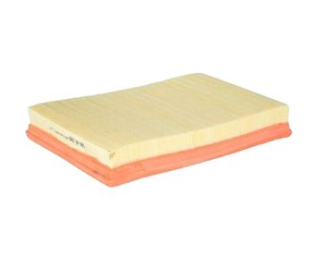 Dunlop Air Filter for VW Polo 1.4L and 1.6L Engines.