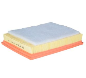 Dunlop Air Filter for Ford Fiesta, Ikon, Rocam