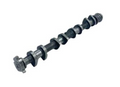 Engine Camshaft Intake Suitable for Suzuki K12M Swift 18 - (Genuine)