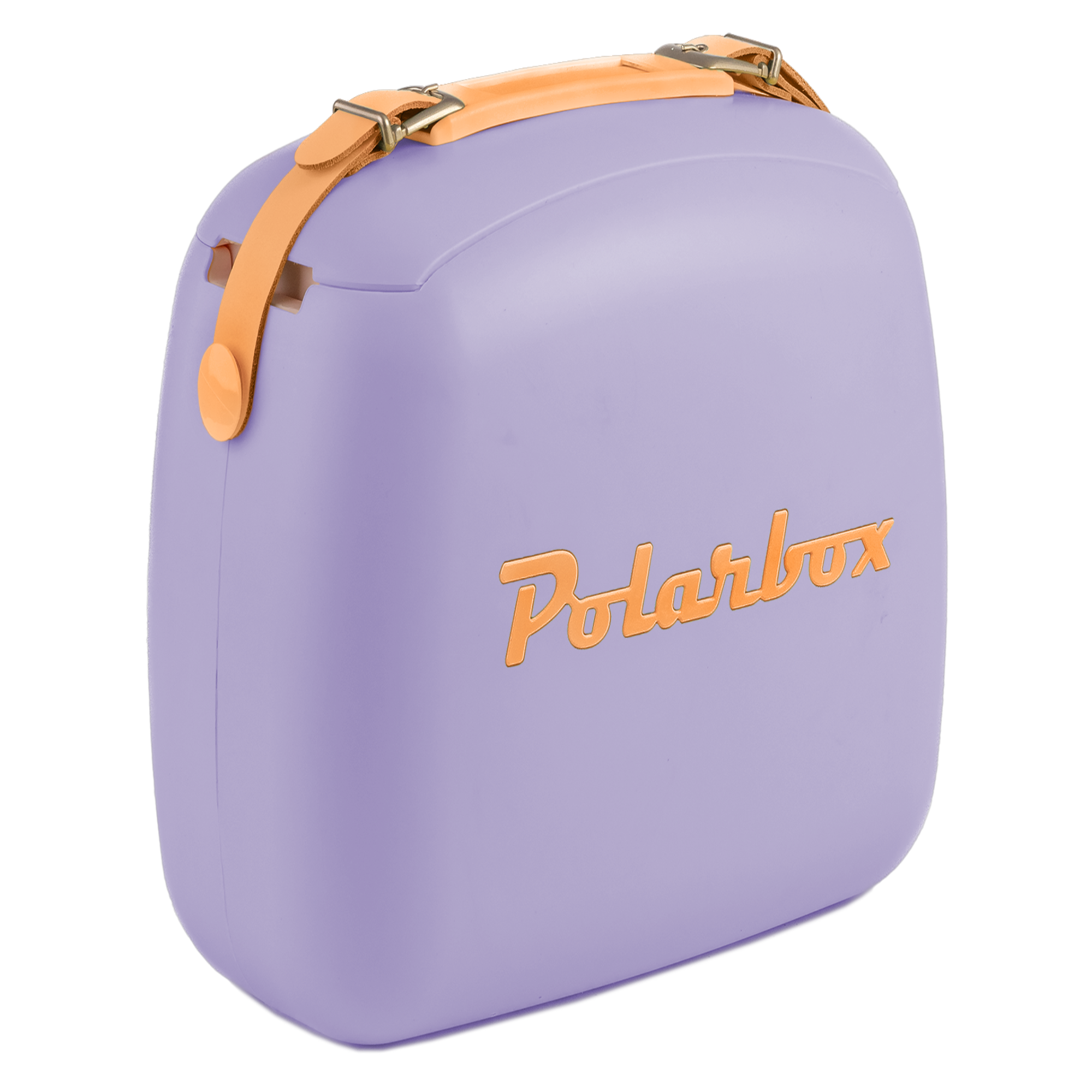 Polarbox Retro 6L Lunch Cooler Set
